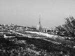 chi-sono-02